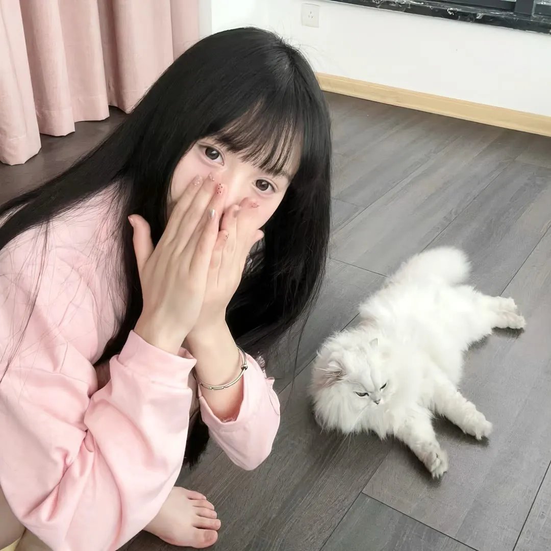 大侠梅花鹿